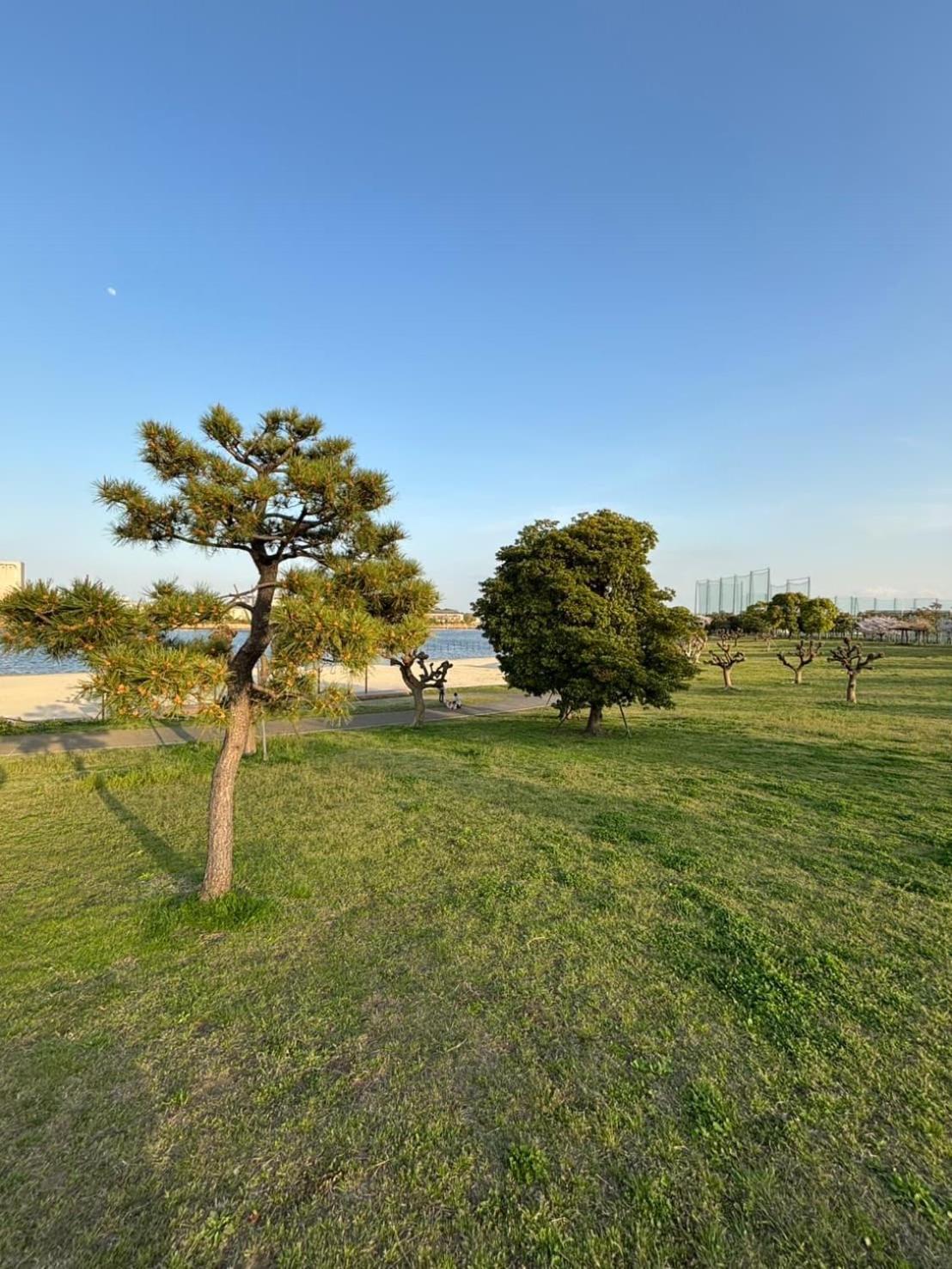 Vacation Inn Heiwajima I Tokyo Dış mekan fotoğraf
